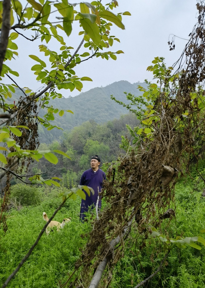 秦化德道长