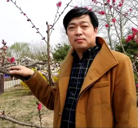 王三木